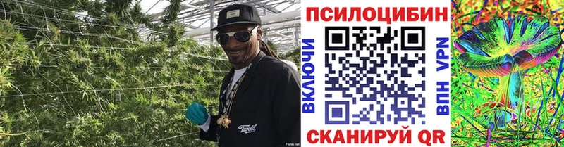 Галлюциногенные грибы мухоморы кракен маркетплейс Тихвин купить закладку
