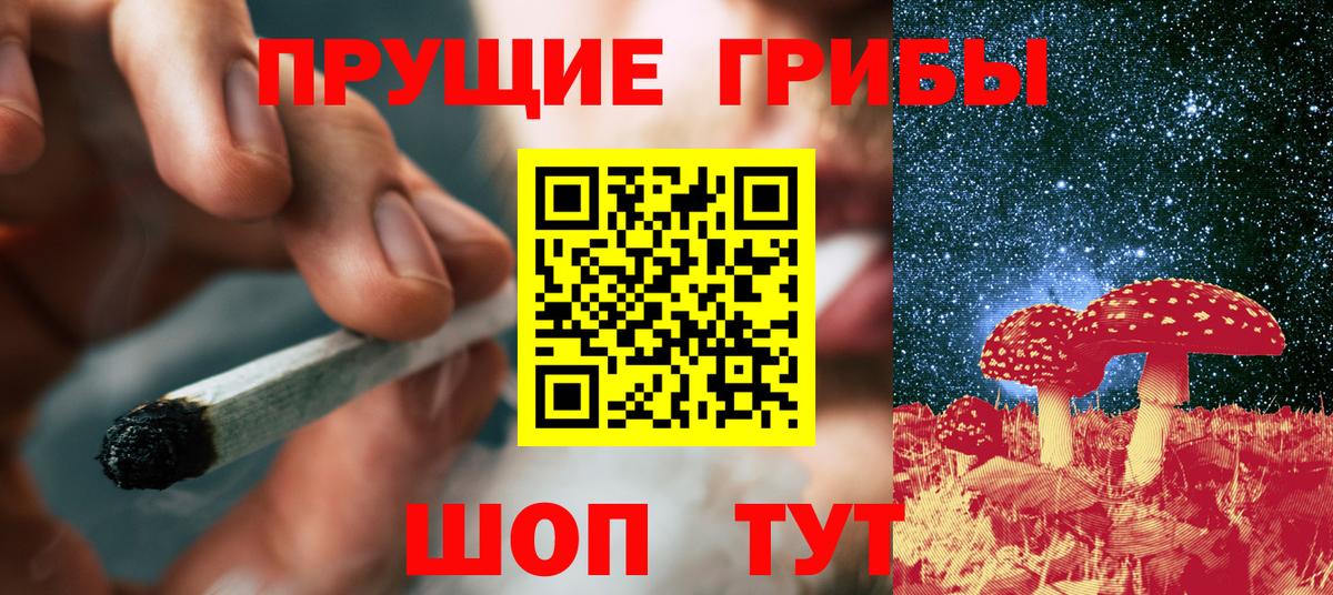 Галлюциногенные грибы Magic Shrooms  Галлюциногенные грибы Psilocybe  Тихвин  Вход с VPN 