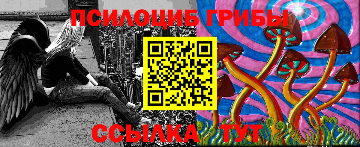 Псилоцибиновые грибы мицелий Тихвин