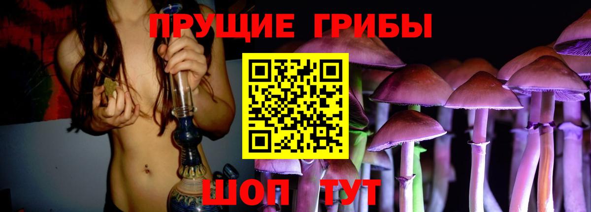 Тихвин  Псилоцибиновые грибы Cubensis  Вход с VPN  Галлюциногенные грибы Magic Shrooms 