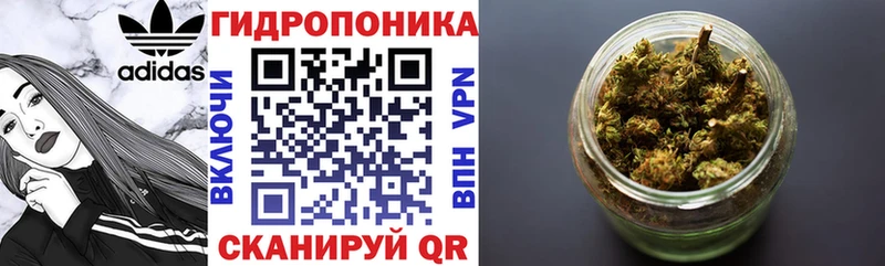KRAKEN маркетплейс Тихвин Каннабис AK-47